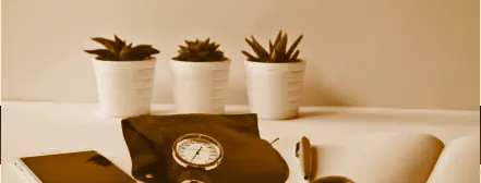 Ein Bild mit 3 Topfpflanzen, ein Smartphone, ein Blutdruckmessgerät und ein Notizbuch auf eine Tisch.