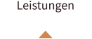 Leistungen